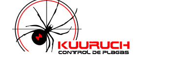 Kuuruch